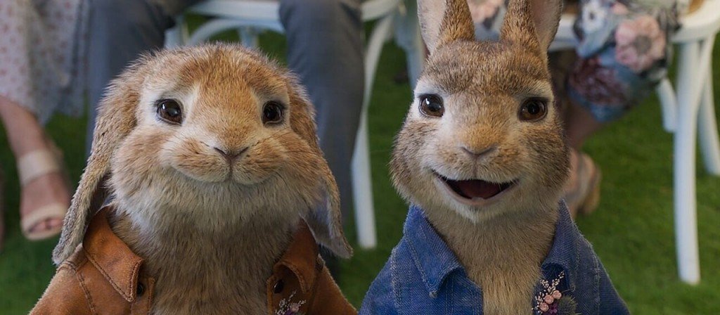 actualité Pierre lapin