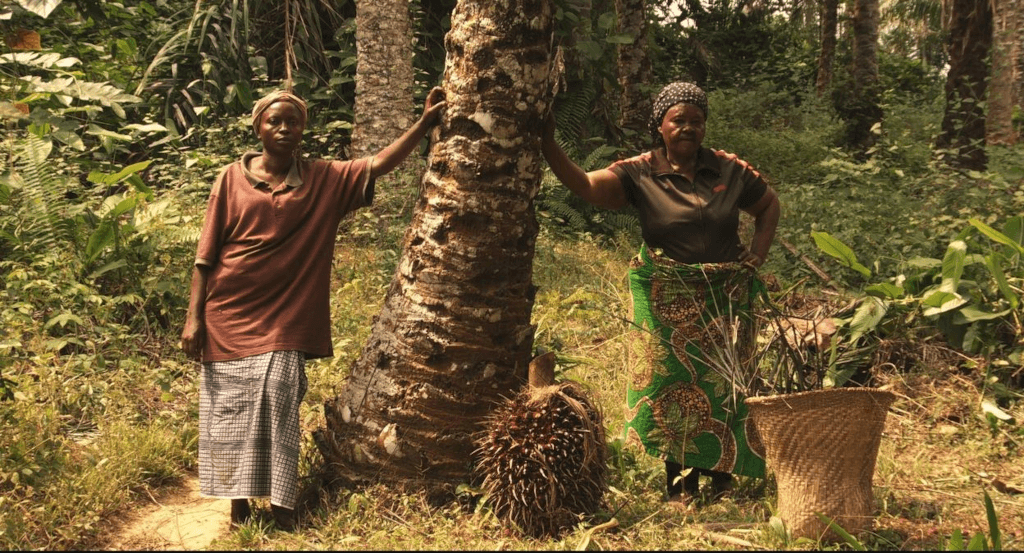 actualité AMUKA, l'éveil des paysans Congolais